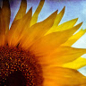 Meet your Posher, Chloe